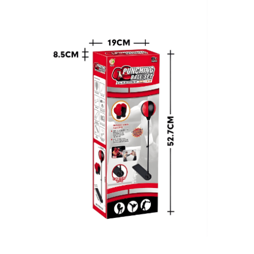 Punching Boxing Ball Set